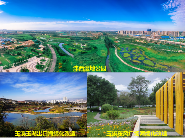 2024新澳网门票官方网站